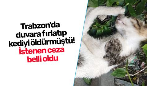 T­r­a­b­z­o­n­­d­a­ ­d­u­v­a­r­a­ ­f­ı­r­l­a­t­ı­p­ ­k­e­d­i­y­i­ ­ö­l­d­ü­r­m­ü­ş­t­ü­!­ ­İ­s­t­e­n­e­n­ ­c­e­z­a­ ­b­e­l­l­i­ ­o­l­d­u­